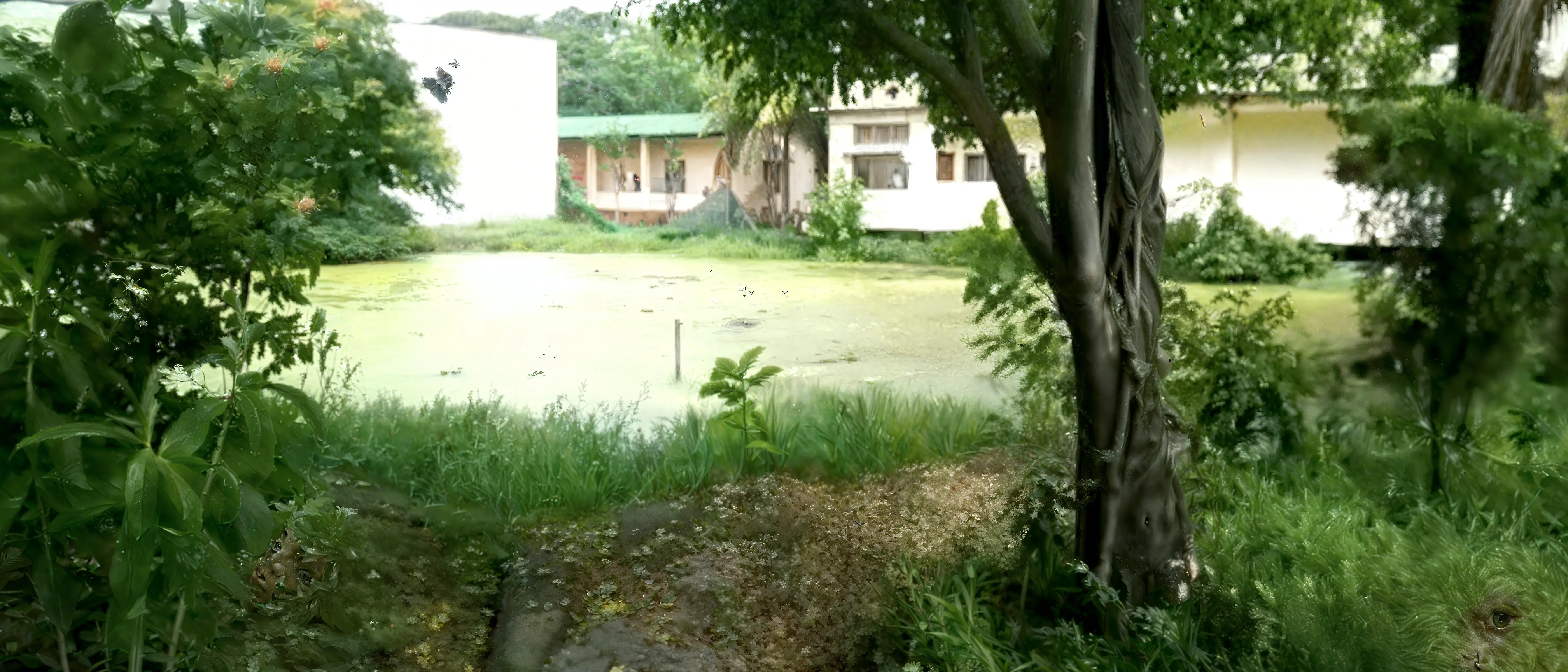 B. Borooah College Guwahati Campus photo 16